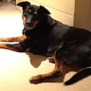 Meet your Posher, Georgia